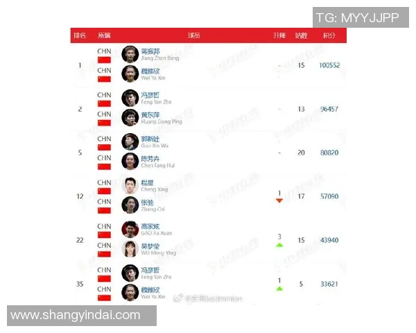 羽毛球实力排行榜揭晓北京羽毛球队荣获第七名佳绩